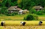 Mai Chau Valley View 2 Days